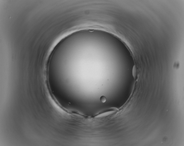 X0000096381531200802071501