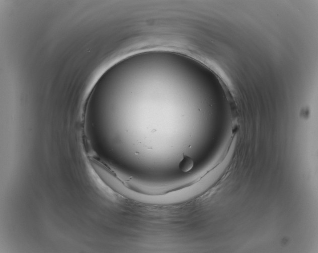 X0000096381532200802071501