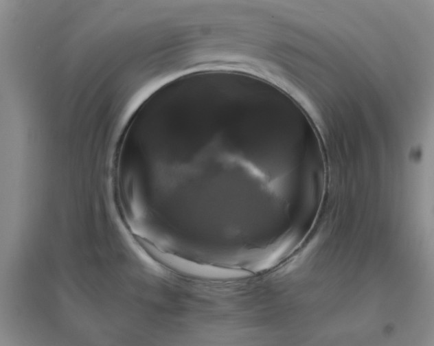 X0000096381533200802071501