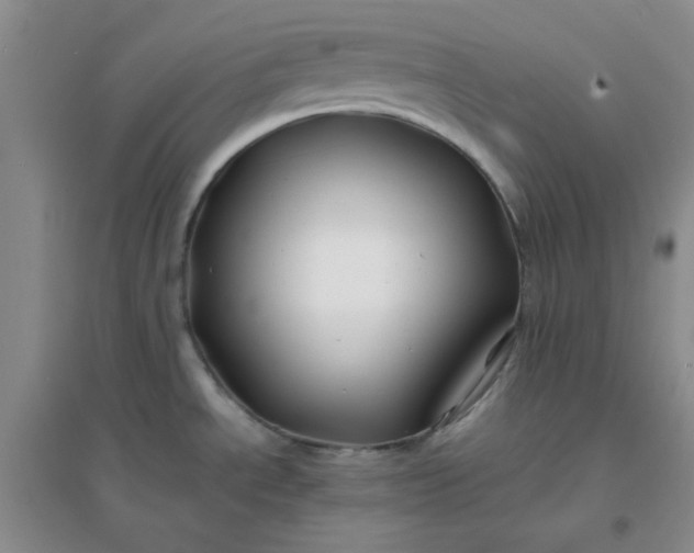 X0000096381534200802071501