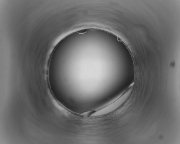 X0000096381535200802071501