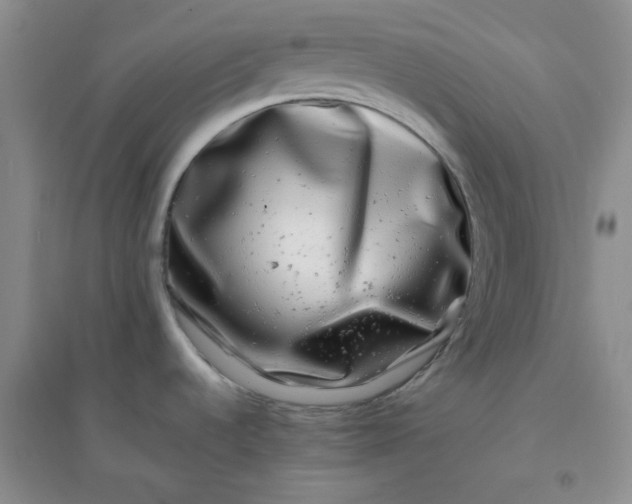 X0000096381536200802071501