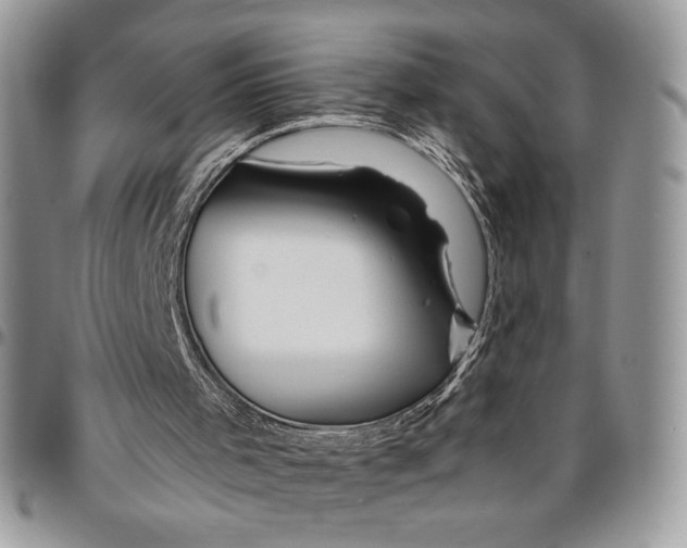 X0000096380001200802141442