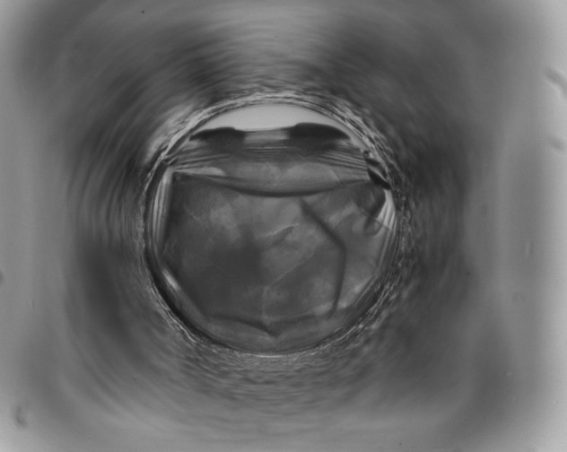 X0000096380002200802141442