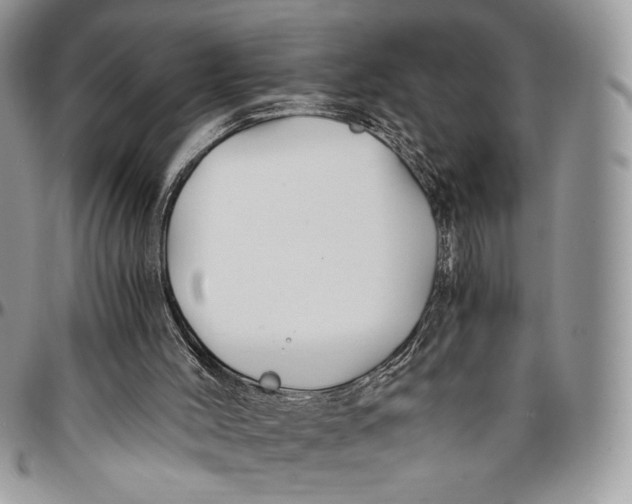 X0000096380004200802141442