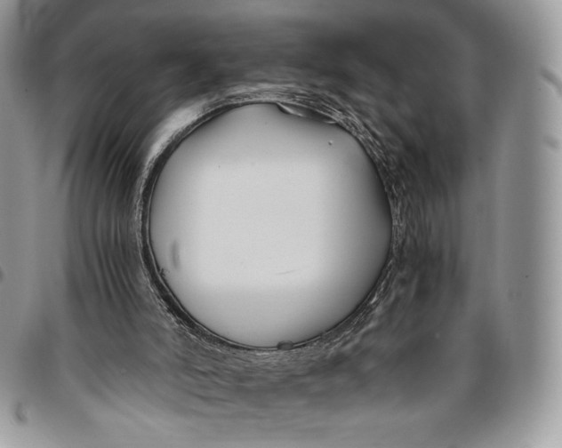 X0000096380006200802141442