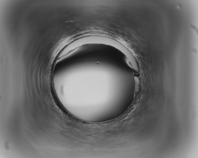 X0000096380007200802141442