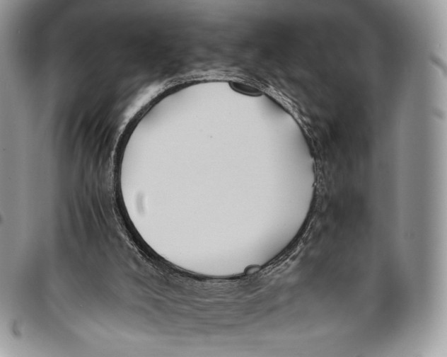 X0000096380008200802141442