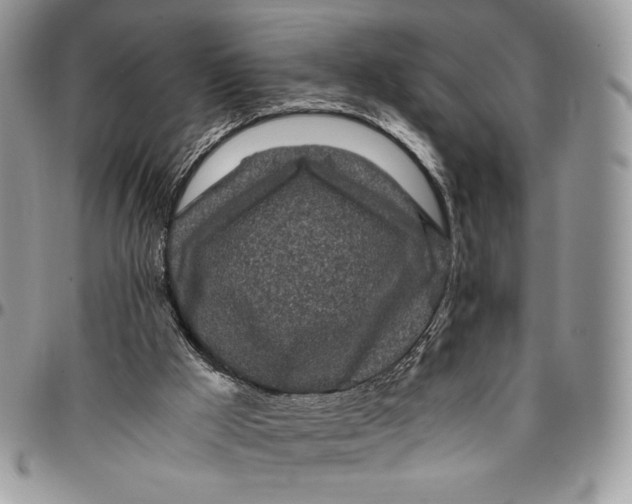 X0000096380009200802141442