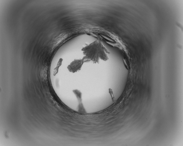 X0000096380010200802141442