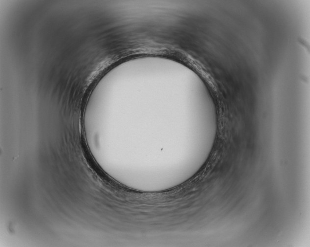 X0000096380011200802141442