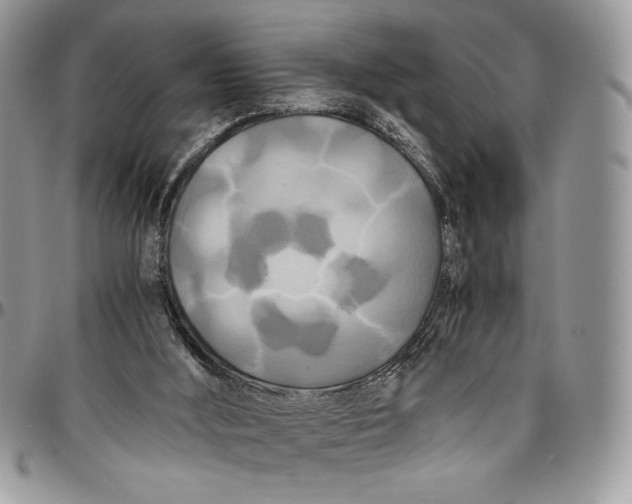 X0000096380012200802141442