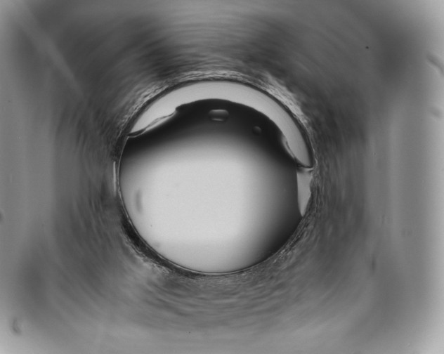 X0000096380013200802141442