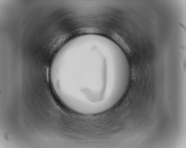 X0000096380014200802141442