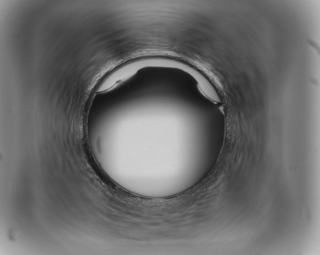 X0000096380015200802141442