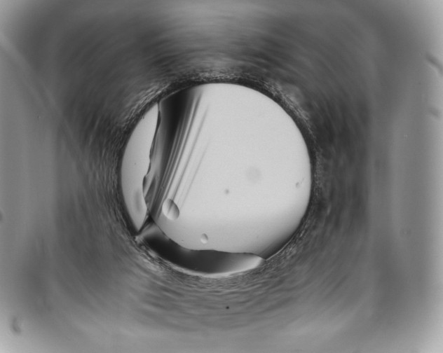 X0000096380017200802141442