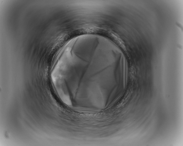 X0000096380018200802141442