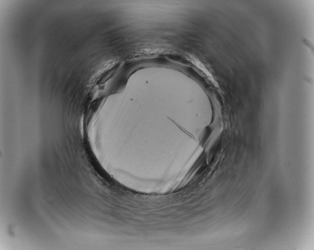 X0000096380019200802141442