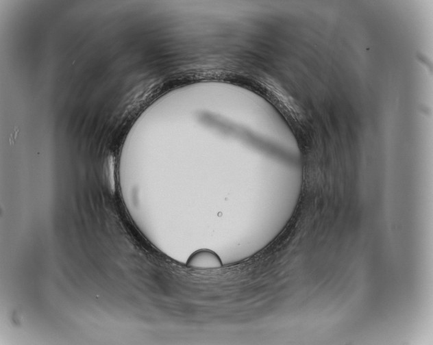 X0000096380022200802141442