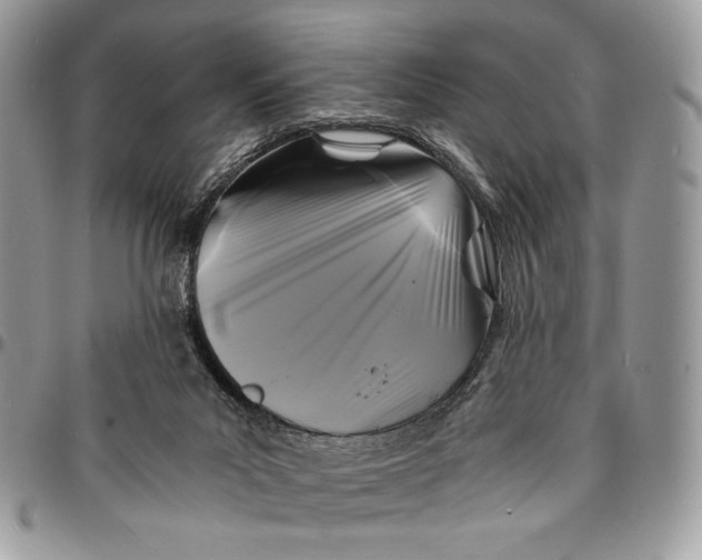 X0000096380023200802141442