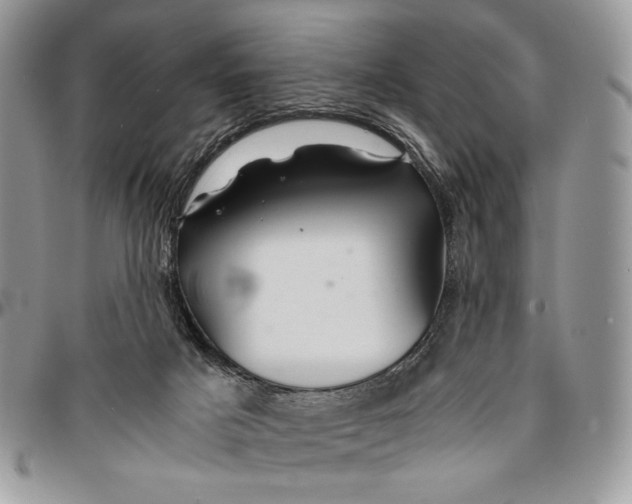 X0000096380025200802141442