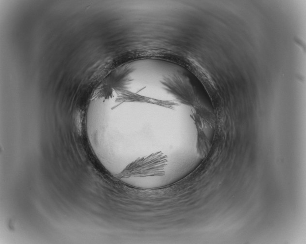 X0000096380026200802141442