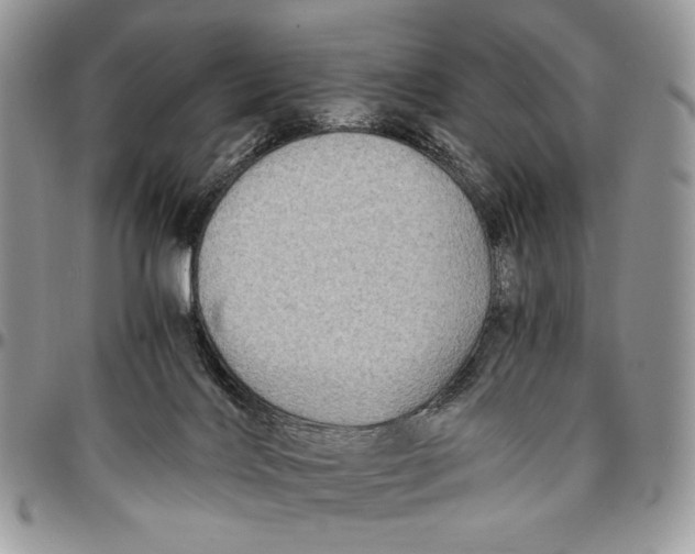 X0000096380028200802141442