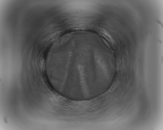 X0000096380029200802141442