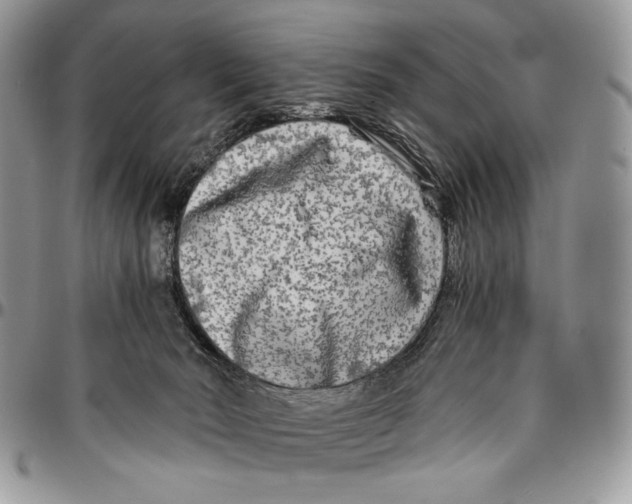 X0000096380030200802141442