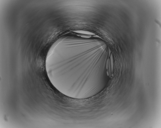 X0000096380031200802141442