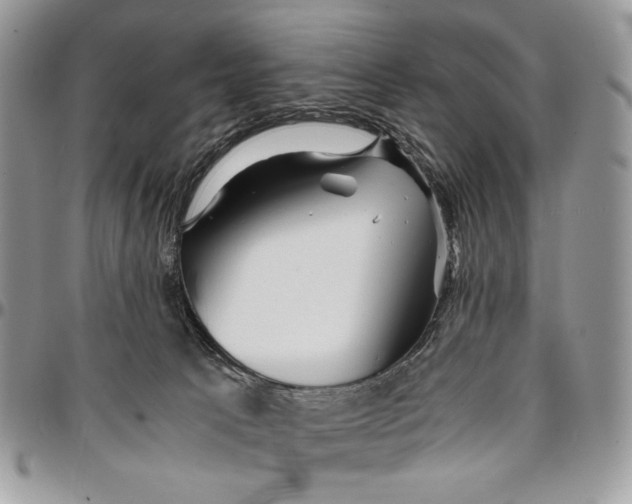 X0000096380033200802141442