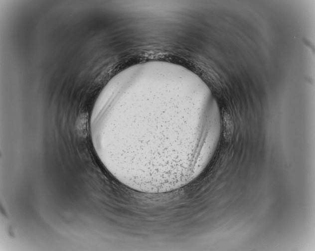 X0000096380034200802141442