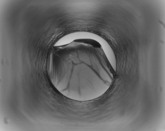 X0000096380035200802141442