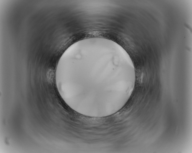 X0000096380036200802141442