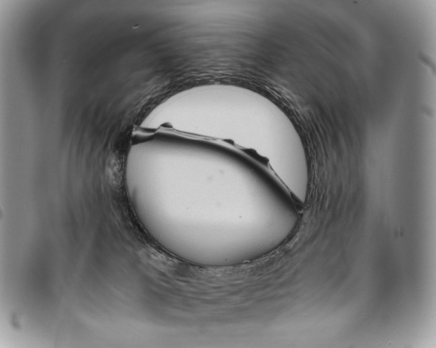 X0000096380037200802141442