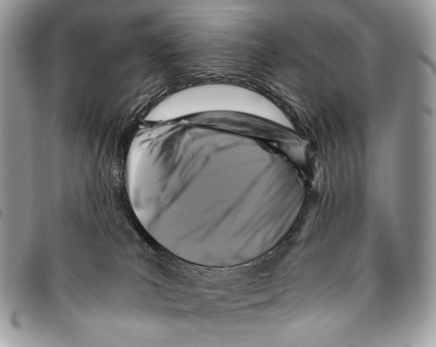 X0000096380039200802141442