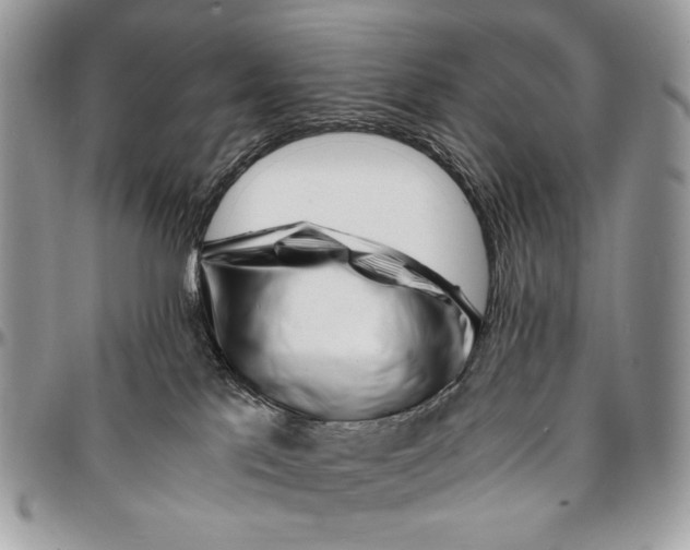 X0000096380041200802141441