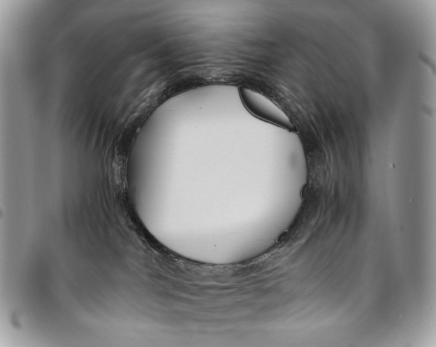 X0000096380044200802141441