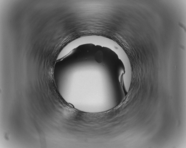 X0000096380045200802141441