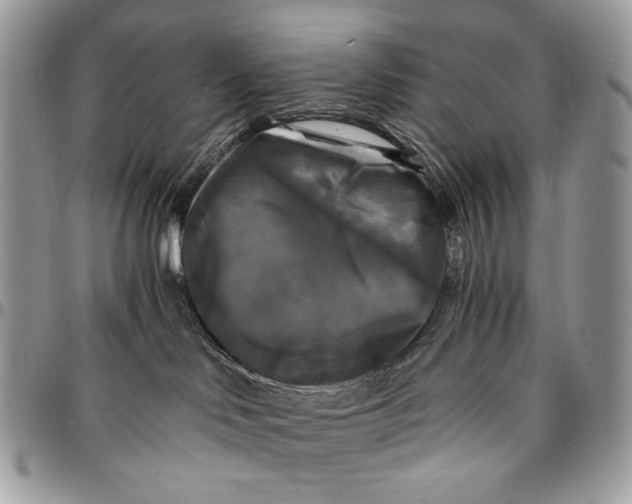 X0000096380046200802141441