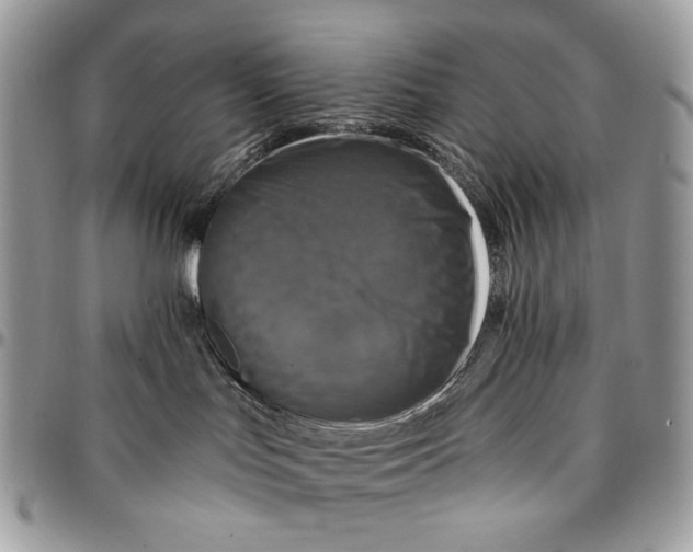 X0000096380047200802141441