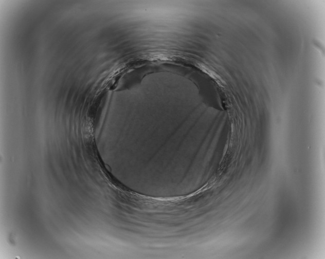 X0000096380048200802141441