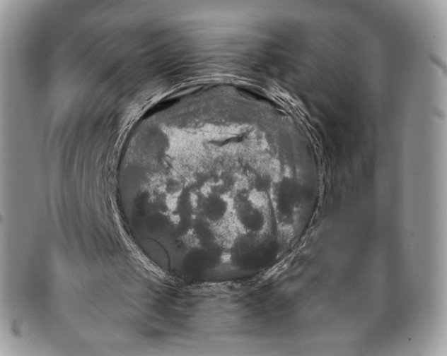 X0000096380049200802141441