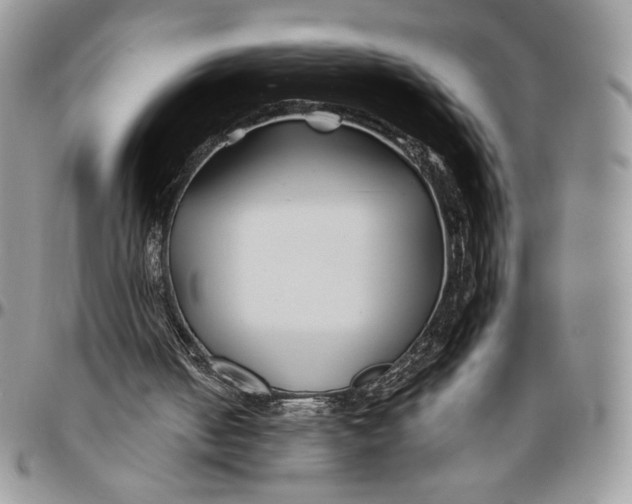 X0000096380050200802141441