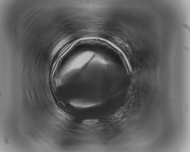 X0000096380051200802141441