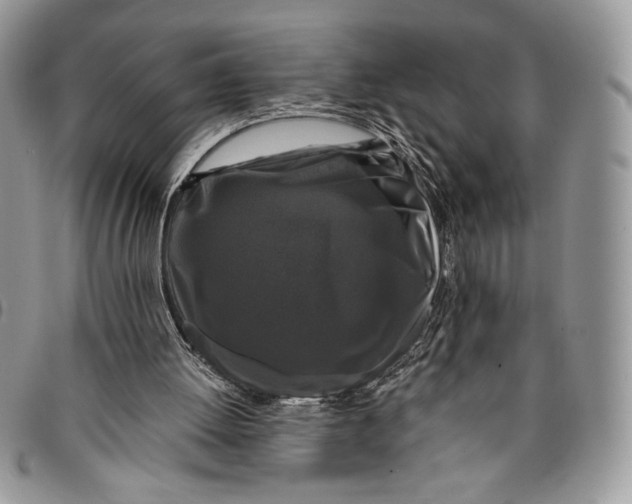 X0000096380052200802141441