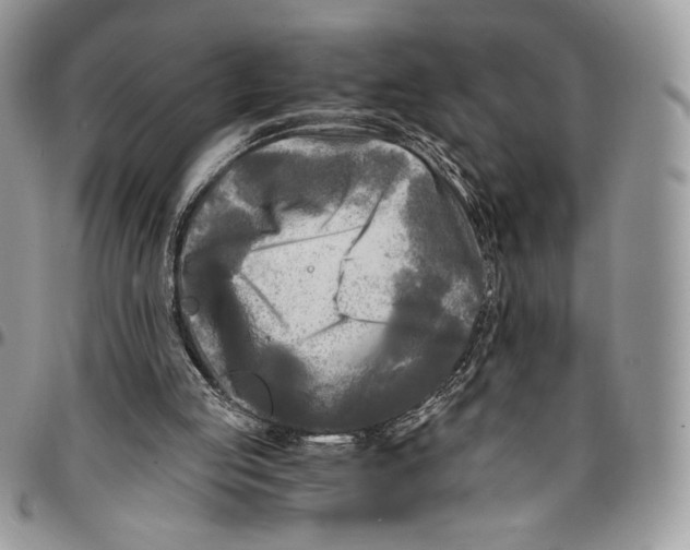 X0000096380053200802141441