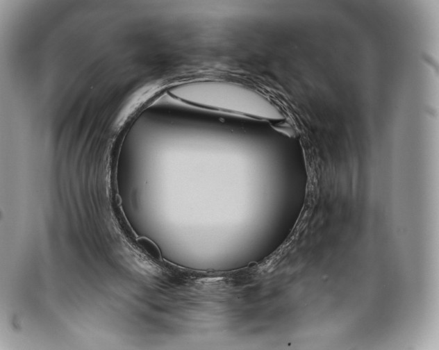 X0000096380054200802141441