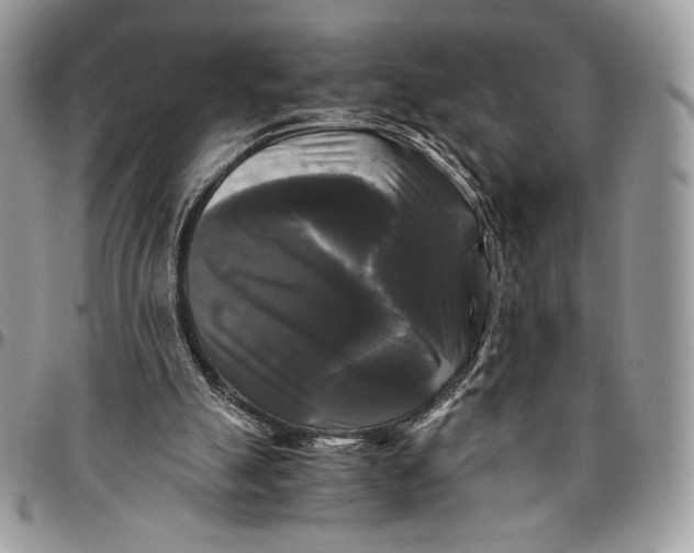 X0000096380055200802141441