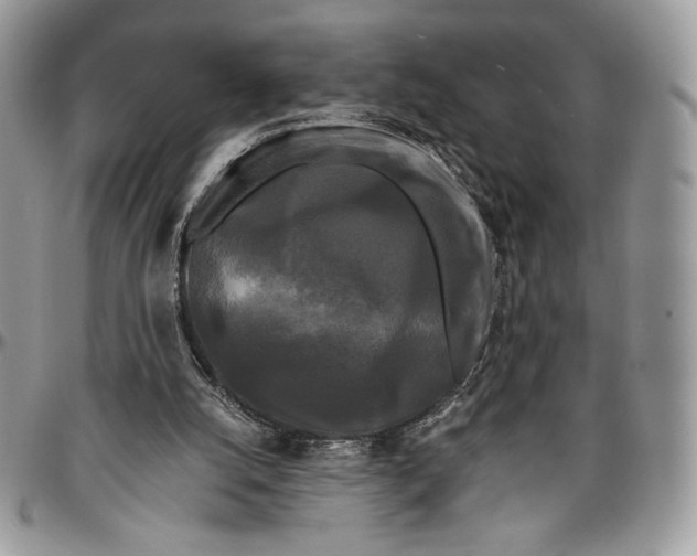 X0000096380056200802141441